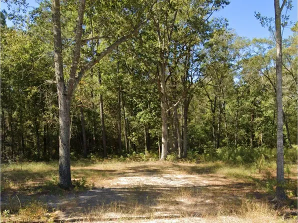 329 Byrnes Circle, Johnsonville, SC 29555