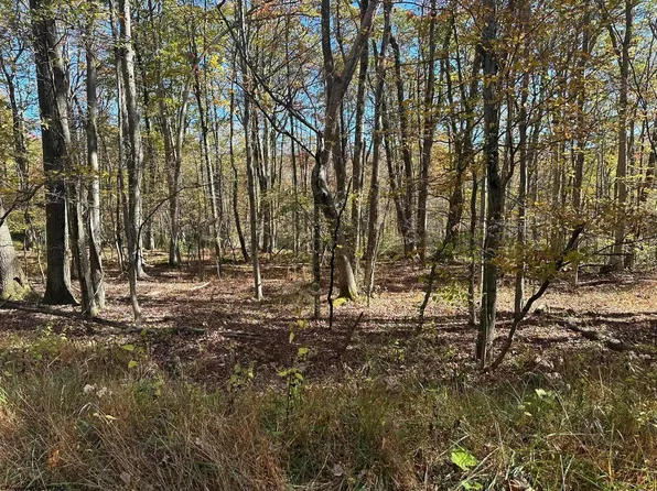 470 Redwood Dr, Terra Alta, WV 26764