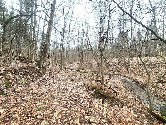 5th image of 0 Maillard Rd