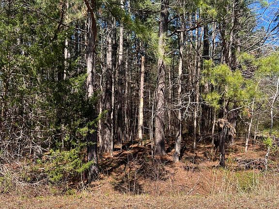 2nd image of 299 Hodges Rd