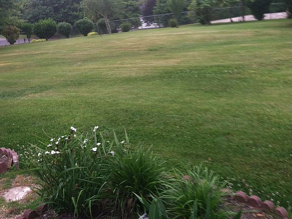 Back Yard - Mountain View