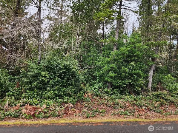 278 XX O Street, Ocean Park, WA 98640