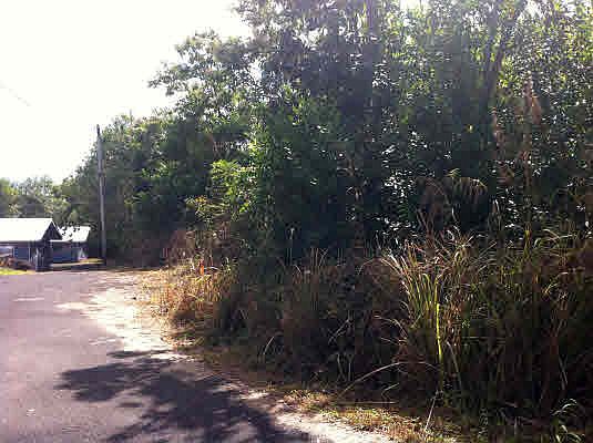 2nd image of Liko Lehua St Lot 59