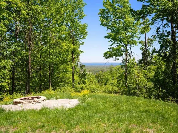 5380 Burt Lake Views Dr, Alanson, MI 49706