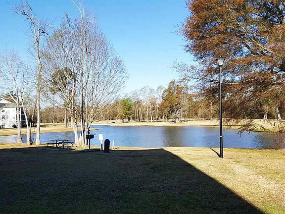 View of shared backyard.