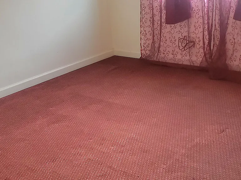 846 Allston Way — Photo 9