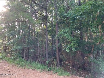 Stockton Cir Lot 26, Gautier, MS, 39553