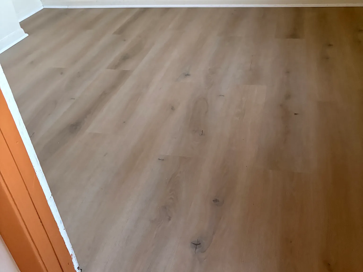 2 bed, $800 — Photo 1
