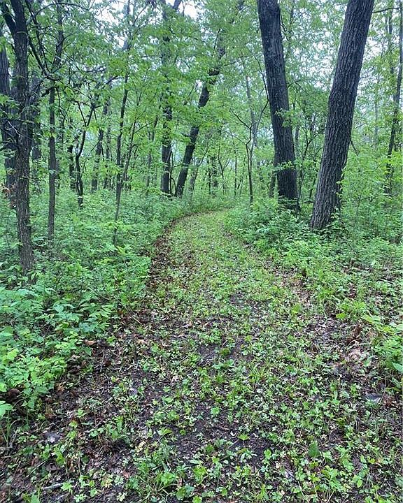 1st image of 0 Vacant Phillips Rd