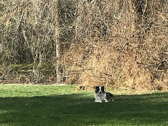 Back yard in the fall