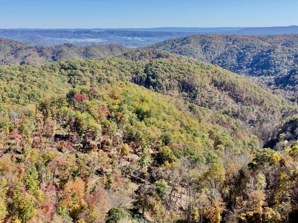 Snake Run Rd, Dawson, WV 24910