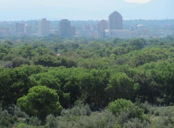 Downtown Abq