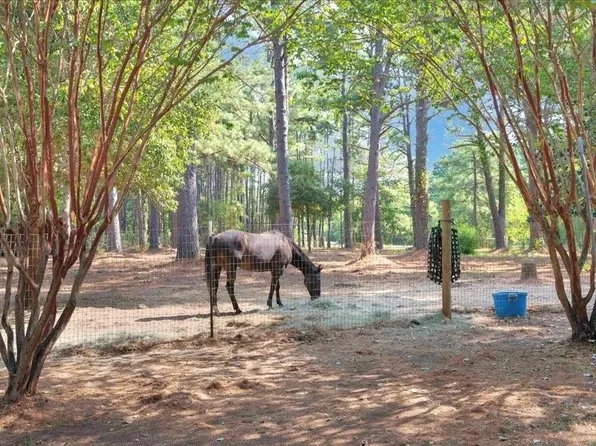 338 County Road 2041, Nacogdoches, TX 75965