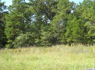 11253 Will Walker Rd, Vance, AL 35490