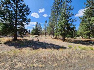LOT 131 Fisher Rd, Weed, CA 96094