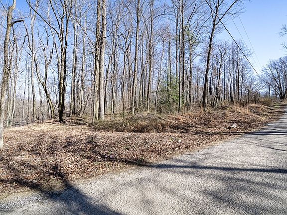 3rd image of 0 Old Altamont Rd