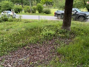 4th image of 237 3rd Ave NW