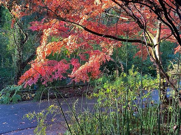 Gorgeous in every season