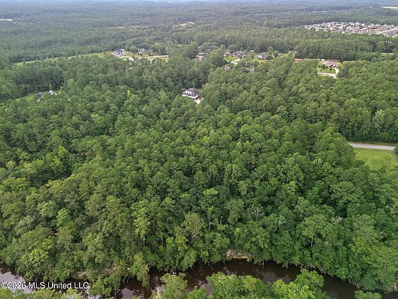 4th image of Longwood Cir Lot 31