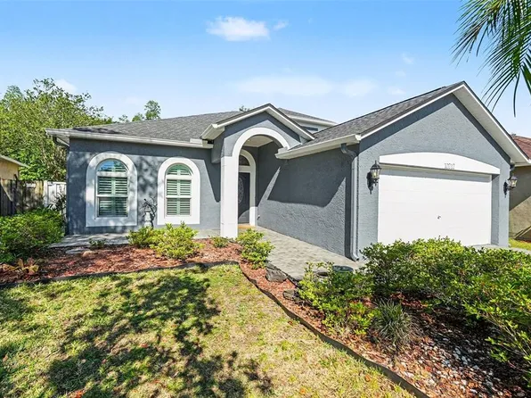 10212 Grant Creek Dr, Tampa, FL 33647