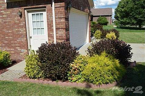 5th image of 333 Palomino Dr