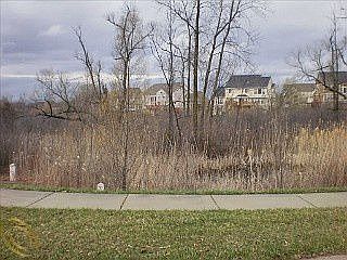 3rd image of 4685 Walnut Glen Ct