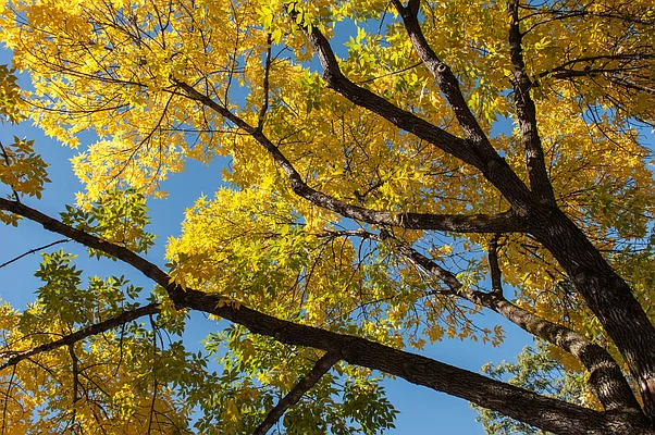 Rented by City Vista Inc | media 43