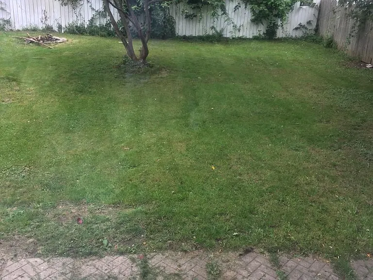 32 Conlon St — Photo 13