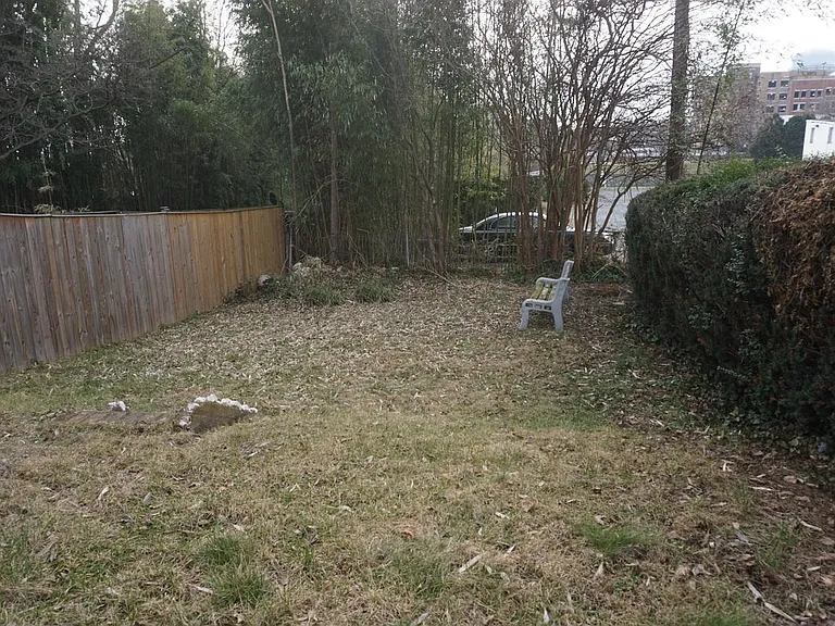 Back yard