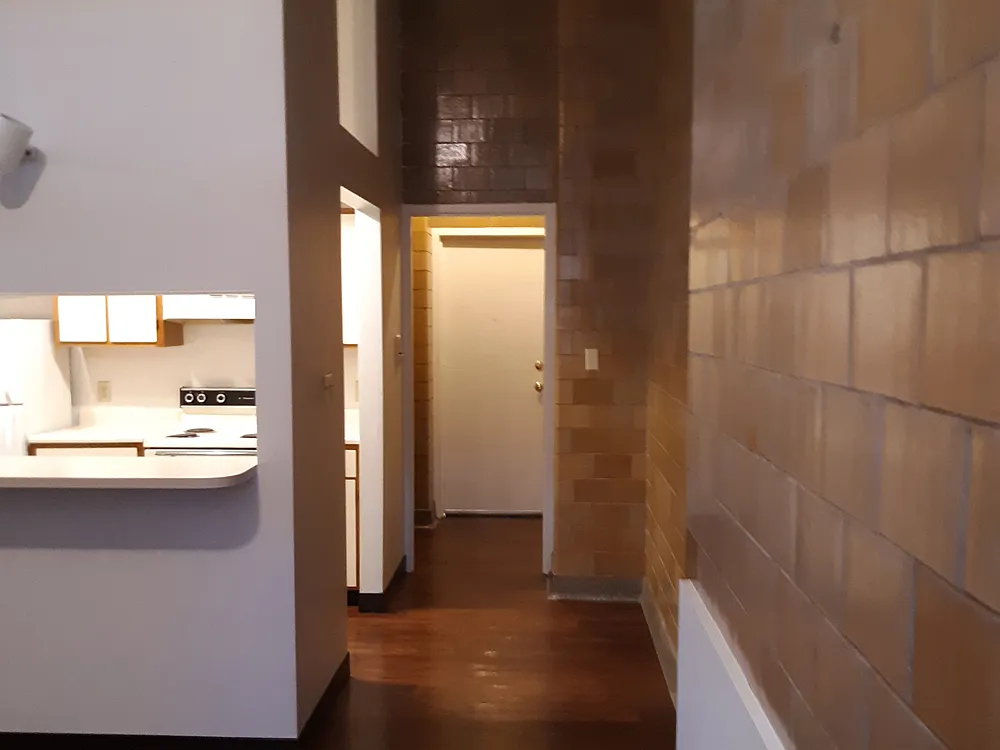 1 bed, 800 sqft, $1,100 — Photo 2