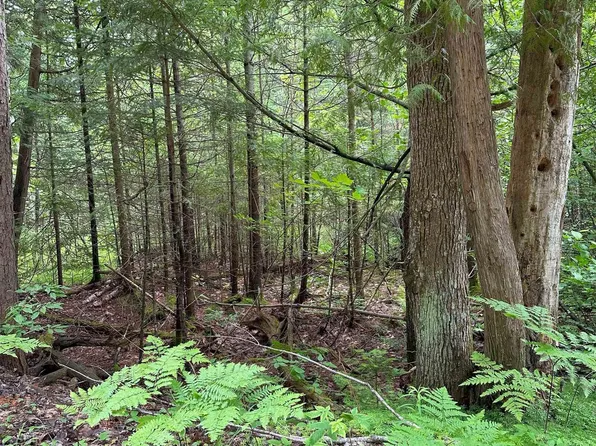 LOT 42 Birchcrest Dr NE, Kalkaska, MI 49646