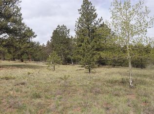 1553 Windmill Dr #1332, Hartsel, CO 80449