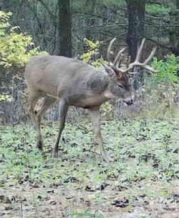 5th image of 890 South Independence Road