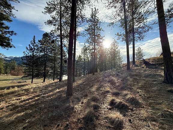 5th image of N Adams St