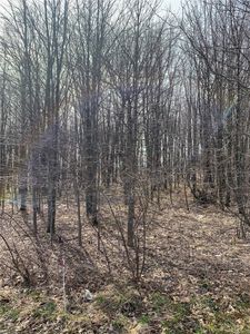 1 Schuchert Ln, Markleysburg, PA, 15459