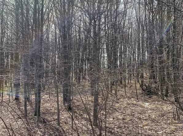 1 Schuchert Ln, Markleysburg, PA 15459