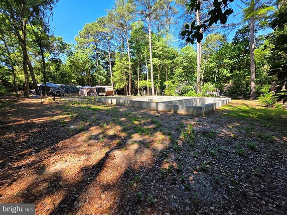 2nd image of 20409 Collins Pond Rd W