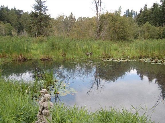 Tranquil rear round pond with trout and steel head.