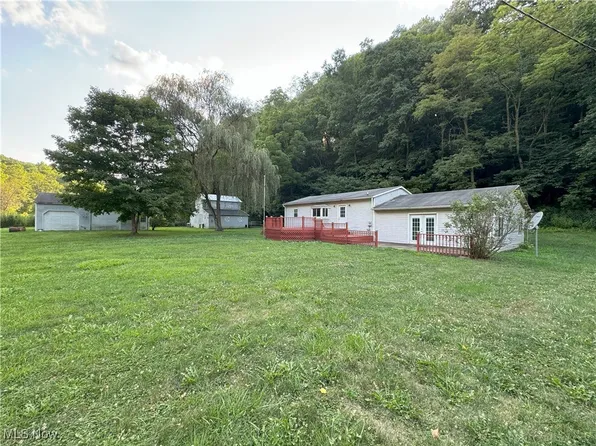 48013 E Brown Peavine Rd, Alledonia, OH 43902