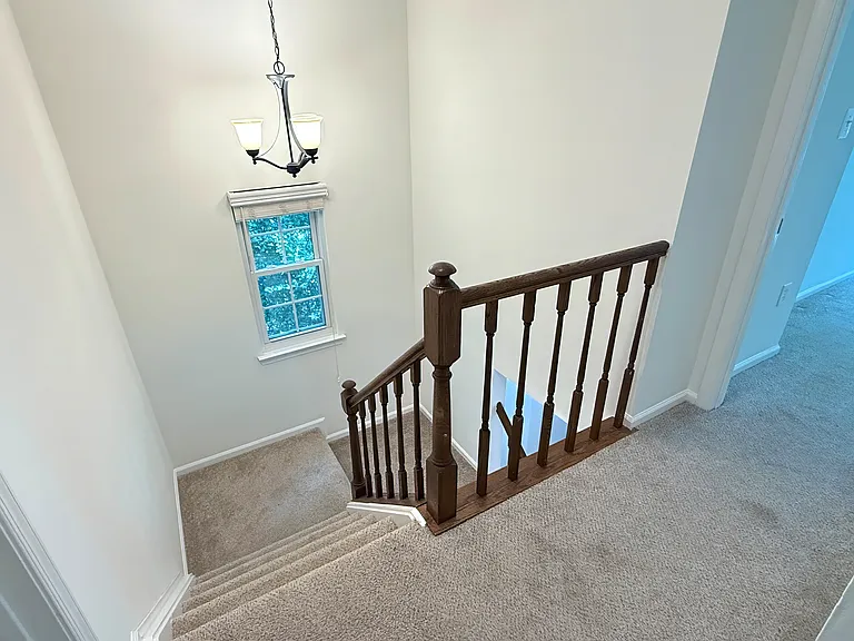 10100 Walnut Wood Ct — Photo 23