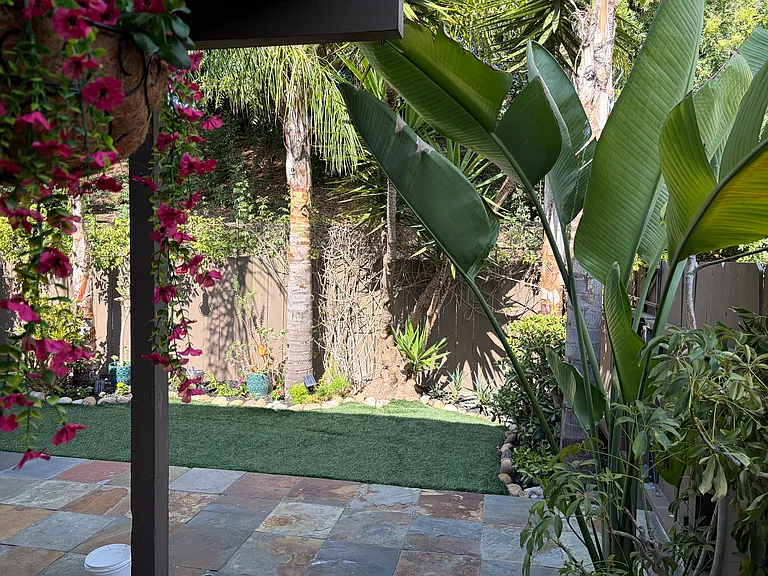 Beautiful mature vegetation in private backyard.