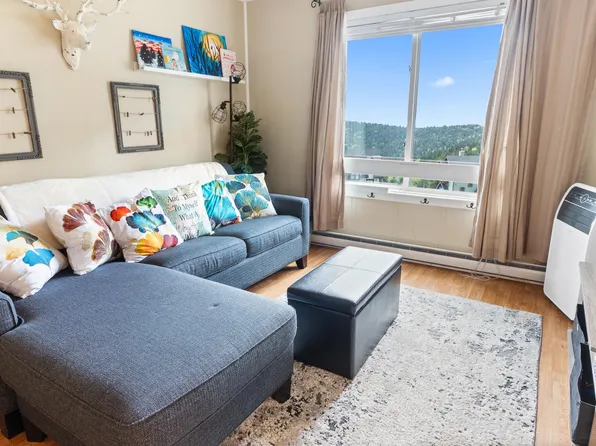 202A Top Of The Fld, Snowshoe, WV 26209