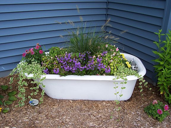 Antique tub / raised bed