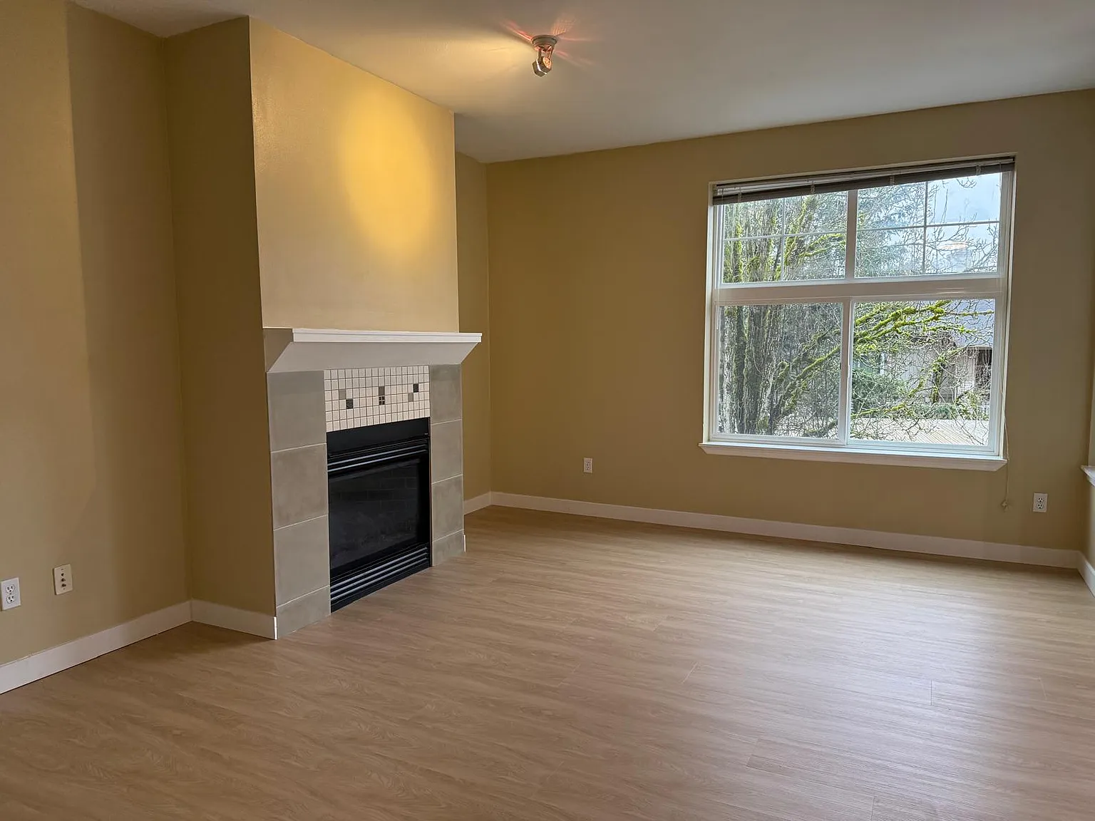 2 bed, 1015 sqft, $2,400 — Photo 2