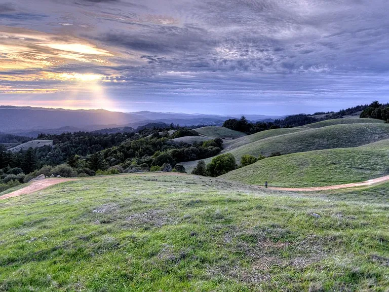 3500 Portola Heights Rd — Photo 2