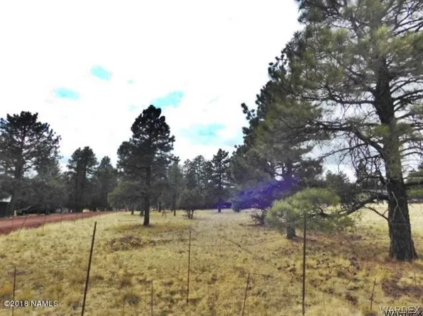 66 N Scenic Loop Trl, Williams, AZ 86046