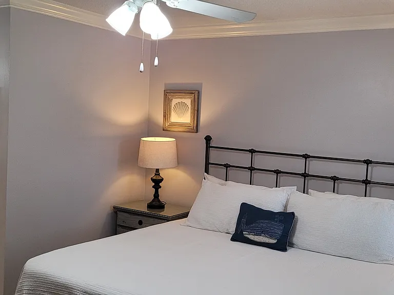 2503 Demere Rd #4 — Photo 10