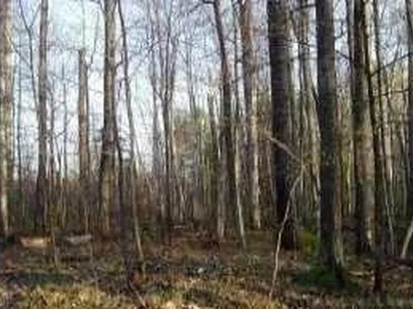 0 Trails End Lane, Hayward, WI 54843