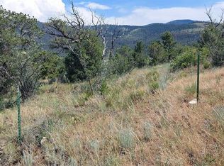 346 Shirley Dr, South Fork, CO 81154