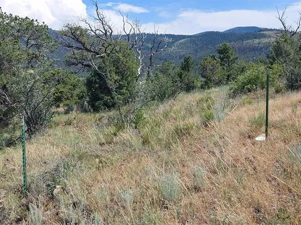 346 Shirley Drive, South Fork, CO 81154